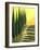 Bolick Road II-Herb Dickinson-Framed Photographic Print