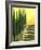 Bolick Road II-Herb Dickinson-Framed Photographic Print