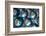 Bolitas-Ursula Abresch-Framed Photographic Print