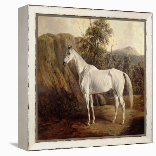 Bolivia, 1836 (Oil on Canvas)-Edward Troye-Framed Premier Image Canvas