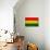 Bolivia Flag Design with Wood Patterning - Flags of the World Series-Philippe Hugonnard-Premium Giclee Print displayed on a wall