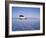 Bolivia, Potosi Department, Daniel Campos Province, White Toyota Landcruiser on the Salar de Uyuni,-Karol Kozlowski-Framed Photographic Print