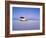 Bolivia, Potosi Department, Daniel Campos Province, White Toyota Landcruiser on the Salar de Uyuni,-Karol Kozlowski-Framed Photographic Print