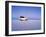 Bolivia, Potosi Department, Daniel Campos Province, White Toyota Landcruiser on the Salar de Uyuni,-Karol Kozlowski-Framed Photographic Print