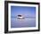 Bolivia, Potosi Department, Daniel Campos Province, White Toyota Landcruiser on the Salar de Uyuni,-Karol Kozlowski-Framed Photographic Print