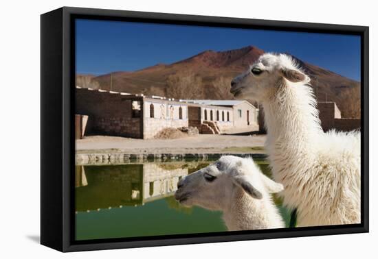 Bolivia, the Most Beautifull Andes in South America-rchphoto-Framed Premier Image Canvas