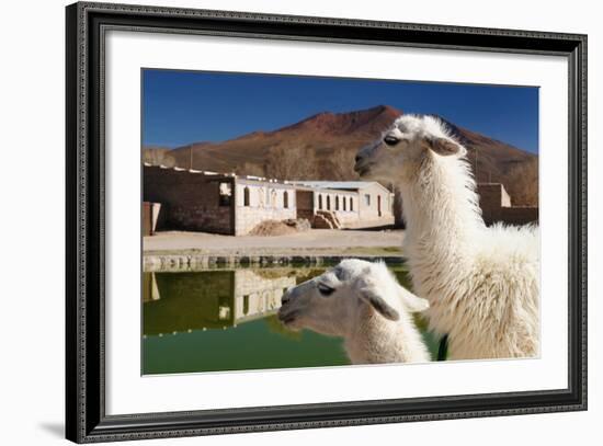 Bolivia, the Most Beautifull Andes in South America-rchphoto-Framed Photographic Print