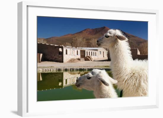 Bolivia, the Most Beautifull Andes in South America-rchphoto-Framed Photographic Print