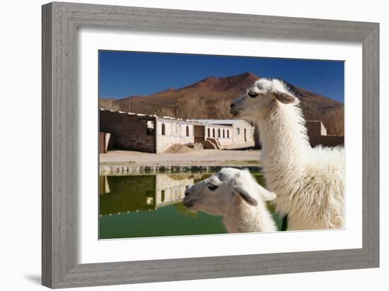 Bolivia, the Most Beautifull Andes in South America-rchphoto-Framed Photographic Print