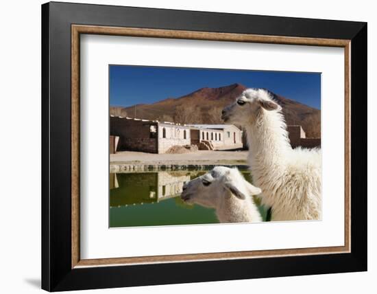 Bolivia, the Most Beautifull Andes in South America-rchphoto-Framed Photographic Print