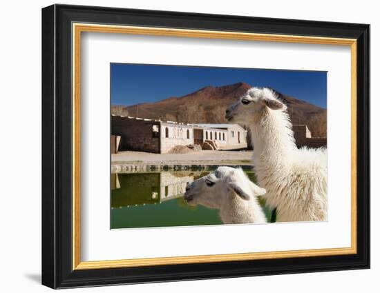 Bolivia, the Most Beautifull Andes in South America-rchphoto-Framed Photographic Print