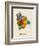 Bolivia Watercolor Map-Michael Tompsett-Framed Art Print