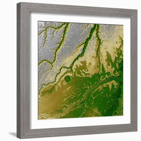 Bolivian Amazon-Stocktrek Images-Framed Photographic Print