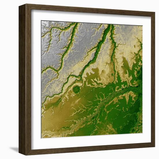 Bolivian Amazon-Stocktrek Images-Framed Photographic Print