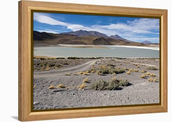 Bolivian desert, Bolivia. Lakes and mountains.-Anthony Asael-Framed Premier Image Canvas