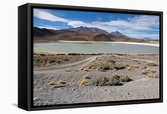 Bolivian desert, Bolivia. Lakes and mountains.-Anthony Asael-Framed Premier Image Canvas