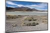 Bolivian desert, Bolivia. Lakes and mountains.-Anthony Asael-Mounted Photographic Print