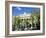 Bolsa (Stock Exchange), Madrid, Spain-Sheila Terry-Framed Photographic Print