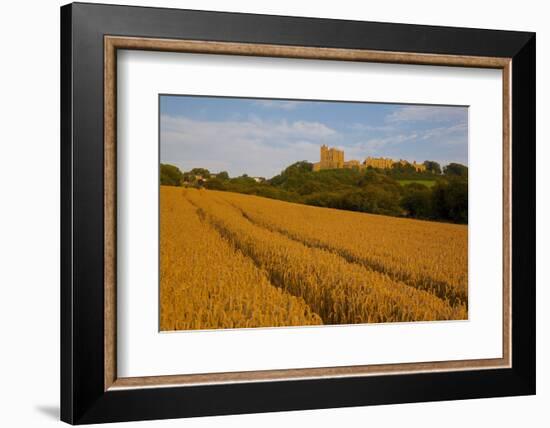 Bolsover Castle and Corn Field at Sunset, Bolsover, Derbyshire, England, United Kingdom, Europe-Frank Fell-Framed Photographic Print