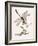 Bolton's Dragon-Fly-Edward Donovan-Framed Giclee Print