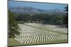 Bomana War Cemetery, Port Moresby, Papua New Guinea, Pacific-Michael Runkel-Mounted Photographic Print