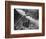 Bomb Damaged Frankfurt, 1945-null-Framed Photographic Print