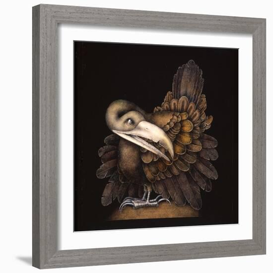 BOMBAX BIRD-Wayne Anderson-Framed Giclee Print