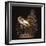 BOMBAX BIRD-Wayne Anderson-Framed Giclee Print