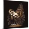 BOMBAX BIRD-Wayne Anderson-Mounted Giclee Print