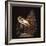 BOMBAX BIRD-Wayne Anderson-Framed Giclee Print