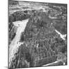 Bombed Out Buildings in Berlin Following Allied Capture of the City-null-Mounted Photographic Print