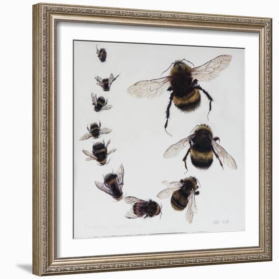 Bombus, 2015-Odile Kidd-Framed Giclee Print