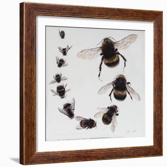 Bombus, 2015-Odile Kidd-Framed Giclee Print