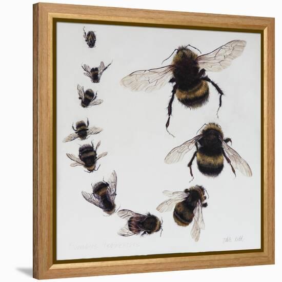 Bombus, 2015-Odile Kidd-Framed Premier Image Canvas