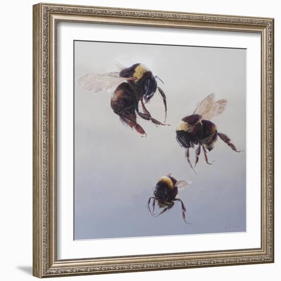 Bombus flight 1, 2011-Odile Kidd-Framed Giclee Print