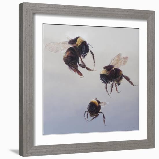 Bombus flight 1, 2011-Odile Kidd-Framed Giclee Print