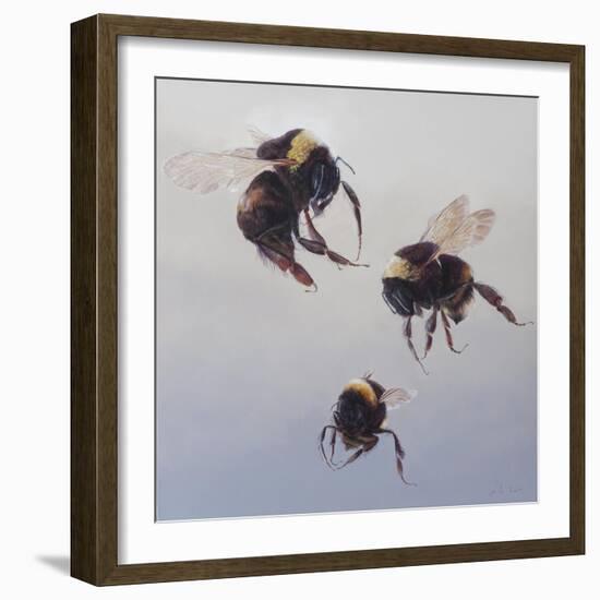 Bombus flight 1, 2011-Odile Kidd-Framed Giclee Print