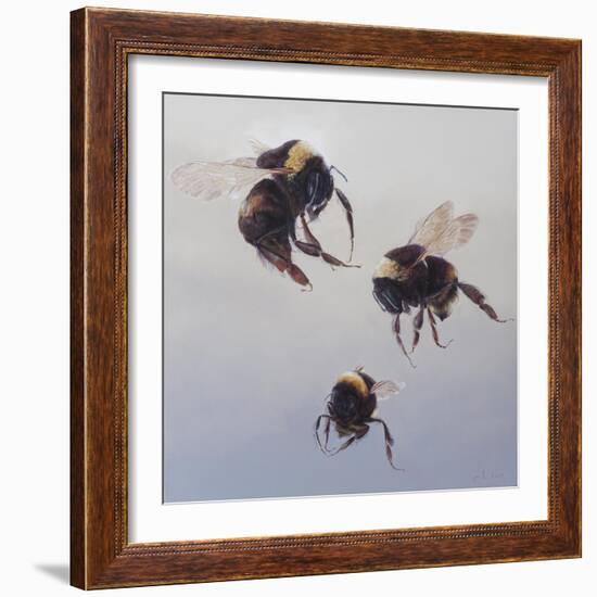 Bombus flight 1, 2011-Odile Kidd-Framed Giclee Print