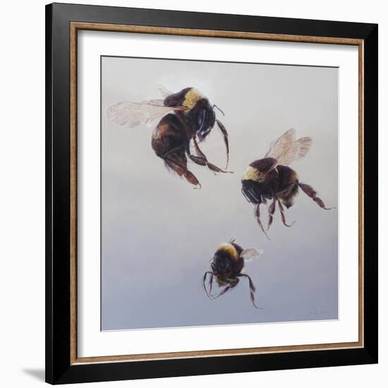 Bombus flight 1, 2011-Odile Kidd-Framed Giclee Print