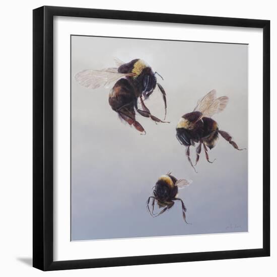 Bombus flight 1, 2011-Odile Kidd-Framed Giclee Print