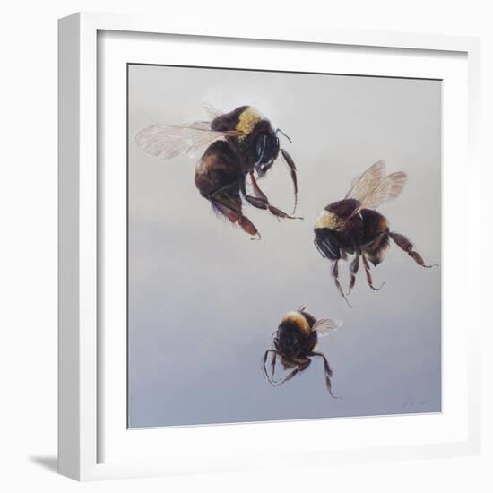 Bombus flight 1, 2011-Odile Kidd-Framed Giclee Print