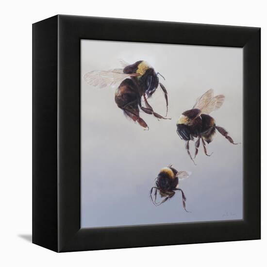 Bombus flight 1, 2011-Odile Kidd-Framed Premier Image Canvas