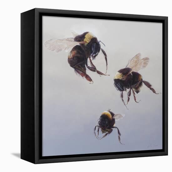 Bombus flight 1, 2011-Odile Kidd-Framed Premier Image Canvas