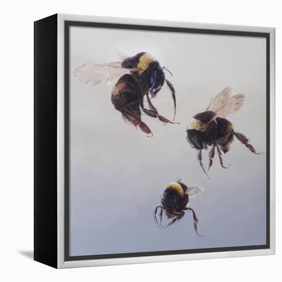 Bombus flight 1, 2011-Odile Kidd-Framed Premier Image Canvas