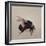 Bombus terrestis 8, 2013-Odile Kidd-Framed Giclee Print