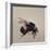 Bombus terrestis 8, 2013-Odile Kidd-Framed Giclee Print