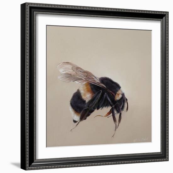 Bombus terrestis 8, 2013-Odile Kidd-Framed Giclee Print