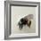 Bombus terrestris 1, 2008-Odile Kidd-Framed Giclee Print