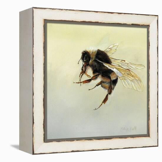 Bombus terrestris 4, 2011-Odile Kidd-Framed Premier Image Canvas