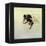 Bombus terrestris 4, 2011-Odile Kidd-Framed Premier Image Canvas